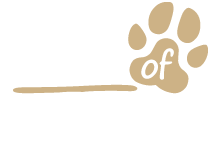 friends-of-toto-small