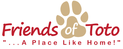 Doggie Day Care, Dog Boarding, Dog Grooming