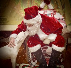 Santa & Izzy
