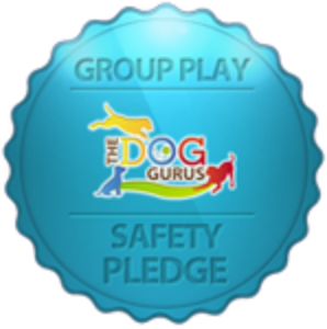 group-play-safety-pledge